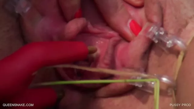 いたずら隣人は話題になる欲望で座っていました 鈴木 一徹 女性 向け 動画