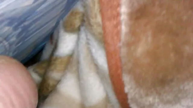 温泉は金髪にシャワーにぴったり体 女性 向け av 無 修正